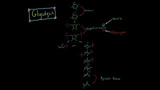 Glycolysis Pathway EVERYTHING YOU NEED TO KNOW BIOCHEMISTRY MCAT [upl. by Sontag632]