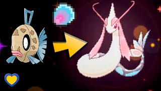 HOW TO Evolve Feebas into Milotic in Pokémon Ultra Sun and Ultra Moon [upl. by Genesia]