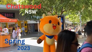 Chatswood NSW spring 2023 tp Chatswood Australia [upl. by Aikar]