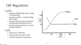 Principles of Neurophysiology  Dr Rebel [upl. by Leiruh]