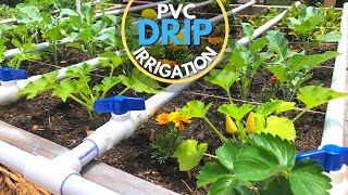 PVC Drip Irrigation System  EASY DIY [upl. by Oker]