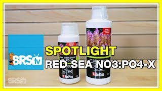 Using Red Sea NOPOX for a biological approach nutrient control  BRStv Spotlight [upl. by Gilburt]