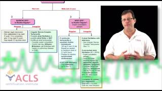 Tachycardia Review by ACLS Certification Institute [upl. by Stiegler]