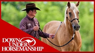 Clinton Anderson Training a Rescue Horse Part 3  Downunder Horsemanship [upl. by Abie249]