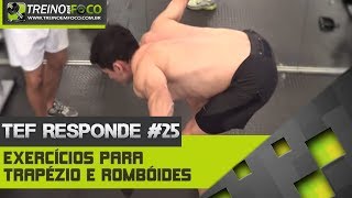 Treino em FOCO Responde 25  Exercícios para trapézio e romboides [upl. by Dagney]