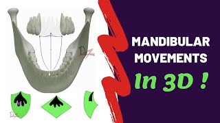 Mandibular Movements in 3D  SUPER EASY [upl. by Ardnoet]