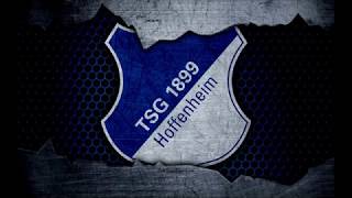 TSG 1899 Hoffenheim Torhymne 202425 [upl. by Bakerman]