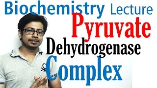 Pyruvate dehydrogenase complex [upl. by Menon]