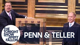 Penn amp Teller Give a Lesson in Misdirection Using a Vanishing Chicken [upl. by Ahsilra]