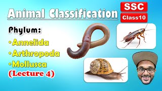 Animal Classification Lecture 4  Annelida Arthropoda Mollusca  Class 10  SSC  state board [upl. by Orion492]