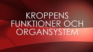 Människokroppen  organsystem [upl. by Anirod]