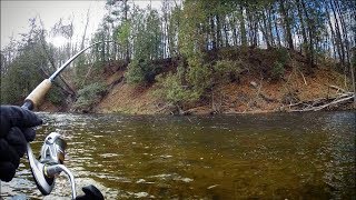 Steelhead Fishing the Easiest Rig Ever [upl. by Onirefez553]