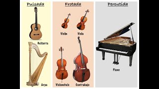 Los instrumentos de cuerda [upl. by Vittorio208]