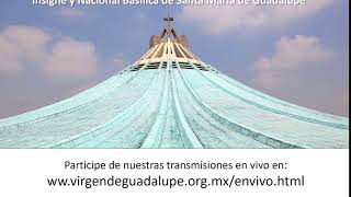 Transmisiones en vivo desde la Basílica de Guadalupe [upl. by Atsyrhc]