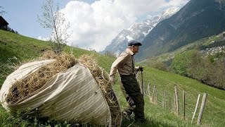 Doku In steiler Höh  Salzburger Bergbauern HD [upl. by Delanty]