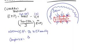 Cerebral Perfusion Pressure and Cerebral Autoregulation [upl. by Nesyaj268]