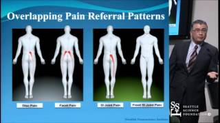 Top 3 Home Heel Pain Remedies [upl. by Yesteb323]