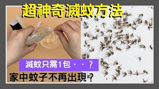 滅蚊只需放一包！蚊子死光光？？超簡單！安全又有效！滅蚊小妙招！滅蚊話咁易！｜DIY系列｜VNT輕鬆小棧 [upl. by Blackwell786]