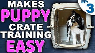 Picking The PERFECT Puppy Crate Training Location [upl. by Suzanne251]