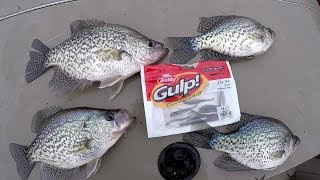 Crappie Fishing With The Berkley Gulp Minnow [upl. by Elbert60]