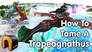 Ark HOW TO TAME A TROPEOGNATHUS Jet Fighter [upl. by Nyladnohr]