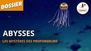 ABYSSES  LES MYSTÈRES DES PROFONDEURS  Dossier 17  LEsprit Sorcier [upl. by Thorne]