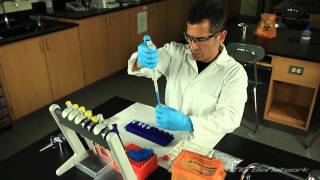 Micropipetting [upl. by Eaves]