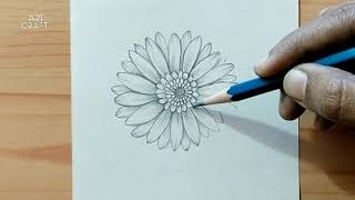 Gerbera flower drawing  Daisy flower [upl. by Hana874]