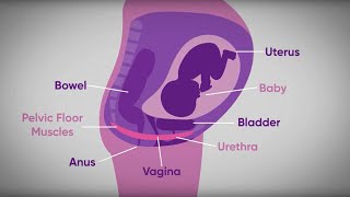 Pelvic floor exercises during pregnancy  txt4two Program  Mater Mothers [upl. by Callida753]