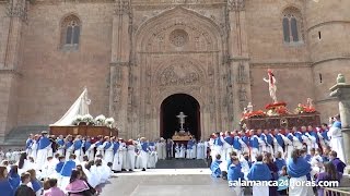 Semana Santa Salamanca 2017  Procesión del Encuentro [upl. by Felise]