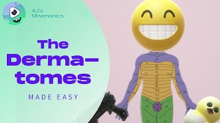 How to Easily Memorize the Dermatomes [upl. by Bjorn632]