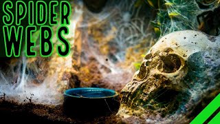 TOP 10 Heaviest Webbing Tarantulas BIG Spiders BIGGER Webs [upl. by Giah89]