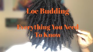 Budding Starter Locs  Everything You Need to Know About Loc Budding [upl. by Teik342]