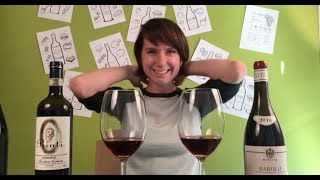 Two Nebbiolo Wines  Barolo vs Roero Riserva [upl. by Anon]