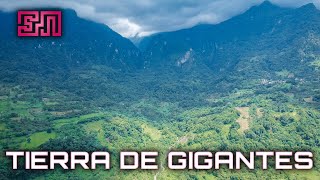 GIGANTES en la sierra de Veracruz [upl. by Hutton]