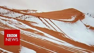 Snow falls in the Sahara desert  BBC News [upl. by Noslrac]