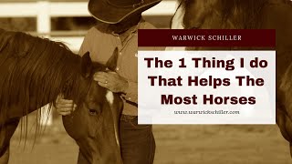 The one thing I do that helps the most horses [upl. by Anika]