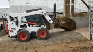 Using the Bobcat s770 skid steer for everyday farm chores [upl. by Llenad676]