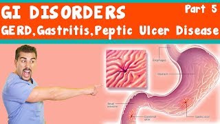 Duodenum 1st Part  Anatomy  Part 2 [upl. by Esma553]