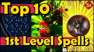 Top 10 1st Level Spells in DnD 5E [upl. by Anitsrik]