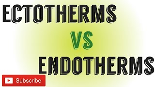 Ectotherms Vs EndothermsDifference between Ectotherms and endotherms [upl. by Cassius538]