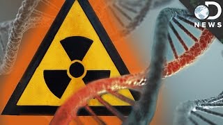 How Radiation Changes Your DNA [upl. by Tepper907]