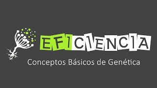 CONCEPTOS BÁSICOS DE GENÉTICA Gen Carácter Locus Alelo Haploide Homocigoto [upl. by Aitnic]