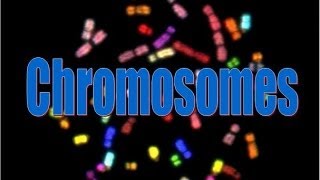 Chromosomes [upl. by Harak]