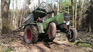 Waldarbeit  Vom Holz zum Brennholz [upl. by Royden715]