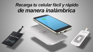 Cargadores inalámbricos para celular [upl. by Olegnaid]