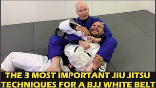 The 3 Most Important Jiu Jitsu Techniques For A BJJ White Belt by John Danaher [upl. by Bekha]