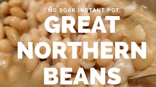 Instant Pot Great Northern Beans EASY NO SOAK VERSION Recipe [upl. by Dirtsa]