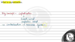 What is cephalization [upl. by Anavas]