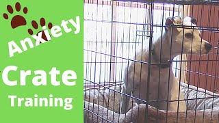 Crate Training for Your Dog  Separation Anxiety [upl. by Rahal]